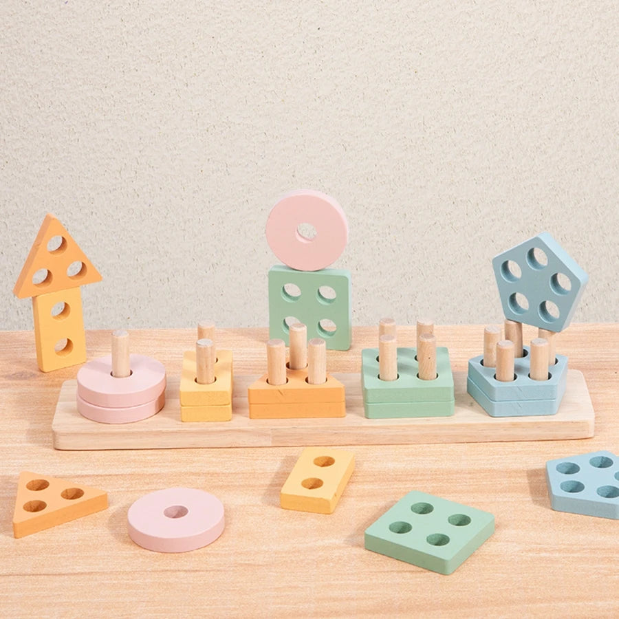 Montessori Wooden Color Sorting &amp; Stacking Puzzle
