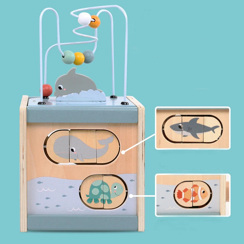 Montessori 5-in-1 Wooden Activity Cube
