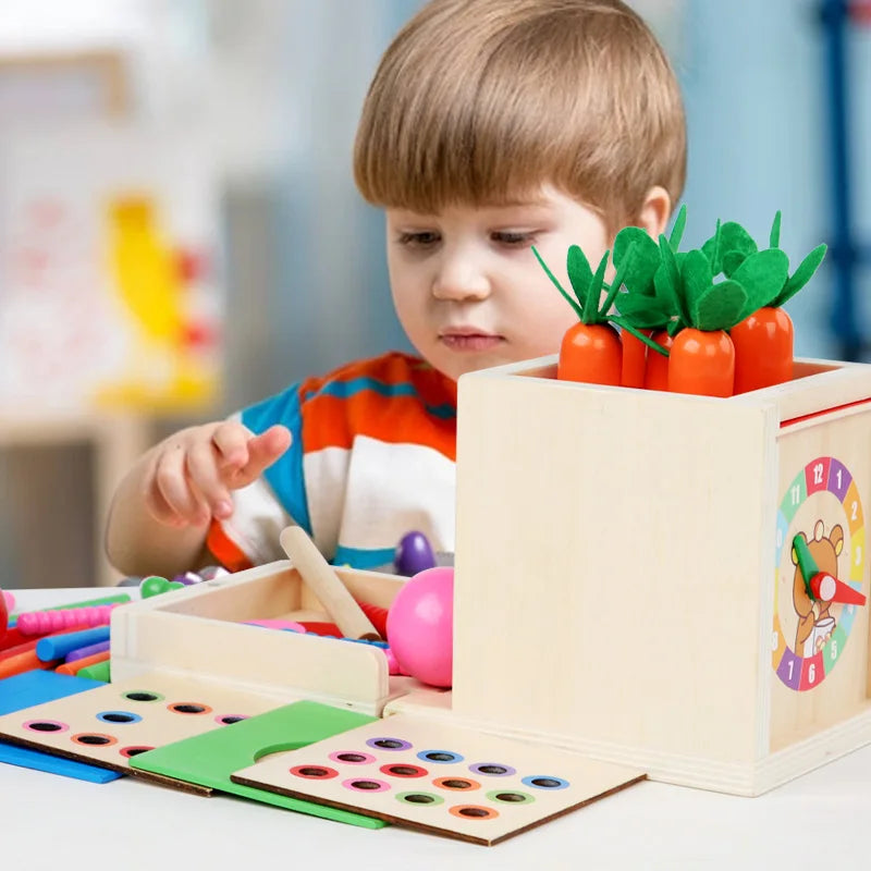 6-in-1 Montessori Wooden Educational Play Kit