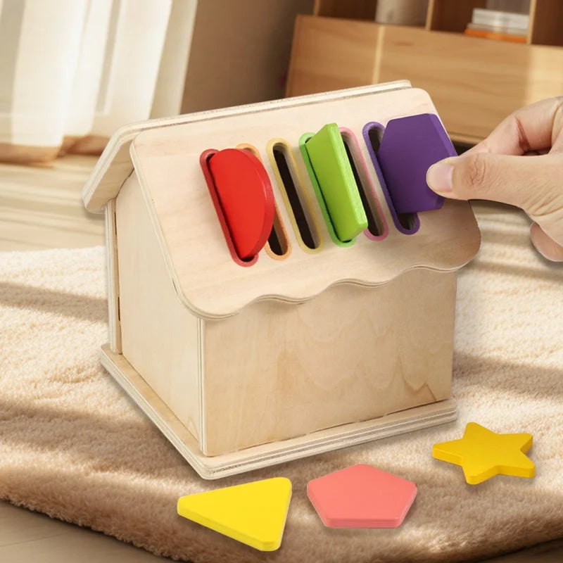 Wooden Montessori Color Sorting Box Toy